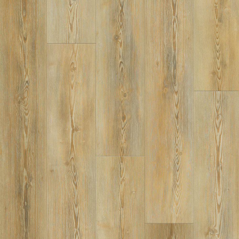 Pinotea (2203) 4mm - 0.5 WL